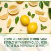 Ricola Sugar Free Lemon Mint - Travel Sized Voice Refreshment - 18 CT Box, Pack of 2 view 3