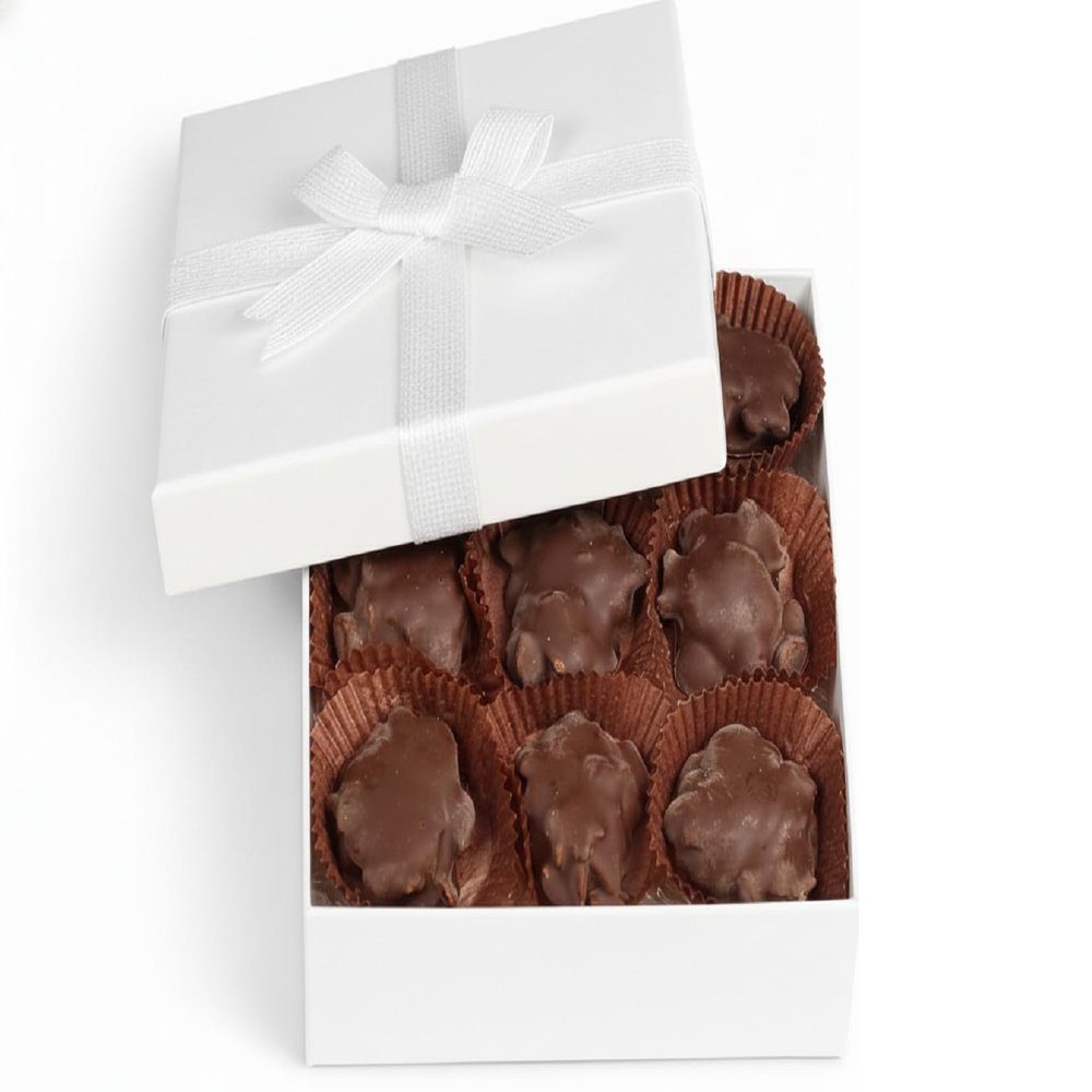 Milk Chocolate Caramel Cashew Nut Clusters White Gift Box - by It's Delish | 12 OZ Premium Dark Chocolate Covered Nuts with Carmel Cluster | Christmas Gifts Box of Chocolates Candy Nut Turtles with Cashews Kosher Dairy
