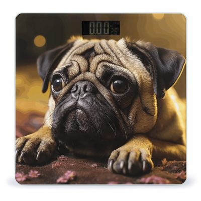 Cry Pug Scale for Body Weight Anti-Slip Tempered Glass Digital Bathroom Scales Clear LCD Display Weighing Scale Safe Rounded Corners Smart Scales