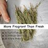 Dried Whole Rosemary Sprigs Bulk, 20g (20 Pcs), Premium Fresh Aroma Sprigs with Intact Rosemary Leaves, Non-GMO for Cooking & Baking & Beverage view 3