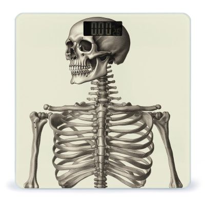 Human Skeleton Scale for Body Weight Anti-Slip Tempered Glass Digital Bathroom Scales Clear LCD Display Weighing Scale Safe Rounded Corners Smart Scales