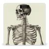 Human Skeleton Scale for Body Weight Anti-Slip Tempered Glass Digital Bathroom Scales Clear LCD Display Weighing Scale Safe Rounded Corners Smart Scales view 1