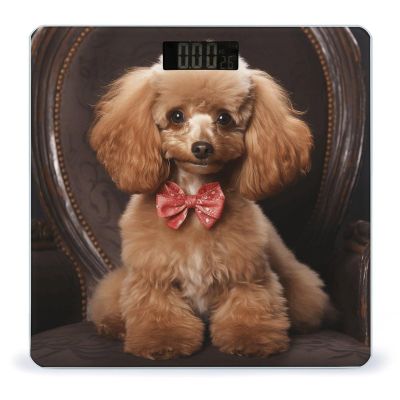 Poodle Scale for Body Weight Anti-Slip Tempered Glass Digital Bathroom Scales Clear LCD Display Weighing Scale Safe Rounded Corners Smart Scales