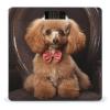 Poodle Scale for Body Weight Anti-Slip Tempered Glass Digital Bathroom Scales Clear LCD Display Weighing Scale Safe Rounded Corners Smart Scales view 1