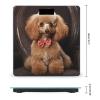 Poodle Scale for Body Weight Anti-Slip Tempered Glass Digital Bathroom Scales Clear LCD Display Weighing Scale Safe Rounded Corners Smart Scales view 2