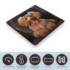 Poodle Scale for Body Weight Anti-Slip Tempered Glass Digital Bathroom Scales Clear LCD Display Weighing Scale Safe Rounded Corners Smart Scales view 3