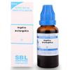 Idika SBL's Angelica Archangelica Mother Tincture Q view 1