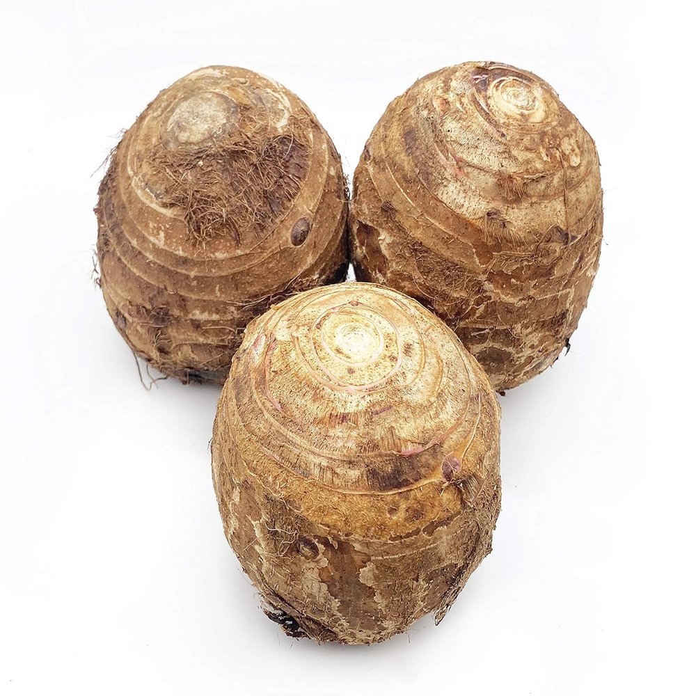 Fresh Taro Root, Small Size, 10 Lbs, Starchy Vegetable for Cooking by Greenhouse PCA