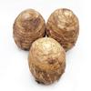 Fresh Taro Root, Small Size, 10 Lbs, Starchy Vegetable for Cooking by Greenhouse PCA view 1