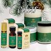 ABBA Oil Cedars of Lebanon Anointing Prayer Oil 2oz Roll On Bottle in Gift Box - ABBA Jerusalem view 2