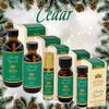 ABBA Oil Cedar Anointing Prayer Oil 4oz Bottle in Gift Box - ABBA Jerusalem view 3