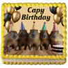 10" by 8" Capybara Capy Birthday Edible Image Birthday Party Cake Topper, Frosting Sheet Decoration Holiday Edible Cake Sticker Decal view 1