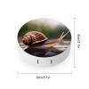 QMNALP Contact Lens Case Portable Travel Kit,cute Contact Lens Cases with Mirror A Photo of A Snail Printed Contact Lenses Applicator Removal Tool Kit view 2