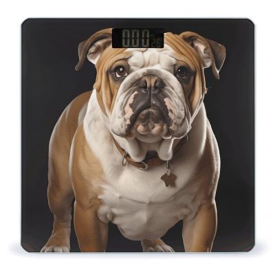 English-Bulldog Scale for Body Weight Anti-Slip Tempered Glass Digital Bathroom Scales Clear LCD Display Weighing Scale Safe Rounded Corners Smart Scales