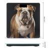 English-Bulldog Scale for Body Weight Anti-Slip Tempered Glass Digital Bathroom Scales Clear LCD Display Weighing Scale Safe Rounded Corners Smart Scales view 2