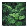 Densely Growing Green Plants Scale for Body Weight Anti-Slip Tempered Glass Digital Bathroom Scales Clear LCD Display Weighing Scale Safe Rounded Corners Smart Scales view 1