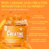 Bruce & Shark Orange Creatine Monohydrate Gummies for Men & Women, 5g Per Serving, Vegetarian, Pre Workout Energy, Post Workout Recovery, Muscle Growth Support, 150 Count view 3