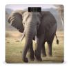 Big Ears Elephant Scale for Body Weight Anti-Slip Tempered Glass Digital Bathroom Scales Clear LCD Display Weighing Scale Safe Rounded Corners Smart Scales view 1