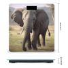 Big Ears Elephant Scale for Body Weight Anti-Slip Tempered Glass Digital Bathroom Scales Clear LCD Display Weighing Scale Safe Rounded Corners Smart Scales view 2