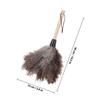 PAMINGONO Natural Fiber Duster with Beech Wood Handle, Reusable Handheld Dust Sweeper for Home and Car Cleaning, White Rod Household Furniture Dusting Tool view 2