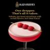 Alexander's Original Cocktail Foamer | All Natural, Vegan-Friendly, Premium Cocktail Foamer | Botanical and Plant-Based Foamer for Professional Bartenders and Home Mixologists view 3