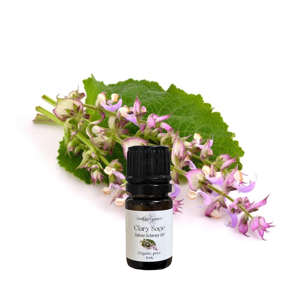 Clary Sage Essential Oil, Organic, Pure, Natural, 5 mL