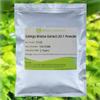 Bright sunlight Organic Ginkgo Biloba Extract 20:1 Powder 500g (1.1 LB) view 1