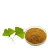 Bright sunlight Organic Ginkgo Biloba Extract 20:1 Powder 500g (1.1 LB) view 2
