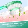 Litlcutie 12 Pack 5 in 1 Disposable Mini Toothbrushes with Toothpaste, Floss, Pick & Tongue Scraper, Individually Wrapped, Portable Toothbrush Travel Set for Kids Adults, Green Tea Flavor view 4