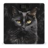 A Black Cat on A Black Background Scale for Body Weight Sturdy Tempered Glass Weighing Scales with LCD Display Accurate Digital Bathroom Scale Convenient Body Fat Smart Scales Easy Read view 1