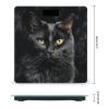 A Black Cat on A Black Background Scale for Body Weight Sturdy Tempered Glass Weighing Scales with LCD Display Accurate Digital Bathroom Scale Convenient Body Fat Smart Scales Easy Read view 2
