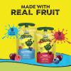 GoGo squeeZ No Sugar Added Variety Pack Blue Raspberry and Cherry SlymeZ Fruit Gel On The Go, 3.5 oz Pouches (Pack of 18) Gluten Free, Nut Free, Recloseable Cap, BPA Free view 2