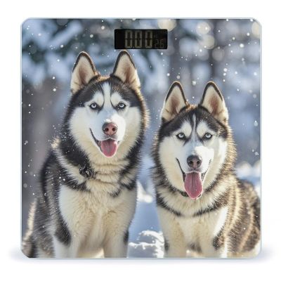 Adorable Huskies Scale for Body Weight Sturdy Tempered Glass Weighing Scales with LCD Display Accurate Digital Bathroom Scale Convenient Body Fat Smart Scales Easy Read