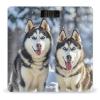 Adorable Huskies Scale for Body Weight Sturdy Tempered Glass Weighing Scales with LCD Display Accurate Digital Bathroom Scale Convenient Body Fat Smart Scales Easy Read view 1