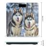 Adorable Huskies Scale for Body Weight Sturdy Tempered Glass Weighing Scales with LCD Display Accurate Digital Bathroom Scale Convenient Body Fat Smart Scales Easy Read view 2