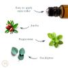 HMA | Mint & Eucalyptus Roll Peppermint and Eucalyptus Essential Oil Blend 0.3 fl oz view 3