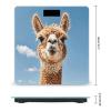 Alpaca Llama Scale for Body Weight Sturdy Tempered Glass Weighing Scales with LCD Display Accurate Digital Bathroom Scale Convenient Body Fat Smart Scales Easy Read view 2