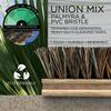 LOLA Deck Scrub Brush, 9" x 3.5" Head w/Palmyra & PVC Bristles for Outdoor Cleaning, Removes Dirt & Grime from Patios, Decks, Grout, 9 CT view 3