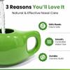 Yogikuti Ceramic Jal Neti Pot | 100% Lead-Free Handmade Neti Pot for Nasal Cleansing | Smooth Spout, Easy Grip, Durable Ceramic | for Sinus Relief, Allergy Care & Daily Jal Neti Practice (Green) view 2