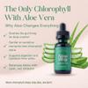 Alma Verde Liquid Chlorophyll Drops - Chlorophyll Water with Aloe Vera Juice for Body Odor, Bloating Relief & Gut Health - Natural Deodorant Alternative for Women - Skin Glow & Detox - Vegan - 30ml view 2