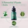 Alma Verde Liquid Chlorophyll Drops - Chlorophyll Water with Aloe Vera Juice for Body Odor, Bloating Relief & Gut Health - Natural Deodorant Alternative for Women - Skin Glow & Detox - Vegan - 30ml view 3