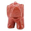 Phefop Jade Stone Elephant, Green 1.5inch Healing Stone Elephant Figurine Crude Crystal Animal Figurine for Wealth Success Energy Meditation Lovers (red,) view 4