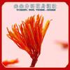 100% Natural Chinese Combined flower tea Green tea, black tea 1350-500 view 2