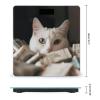 White Cat and Pile of Dollars Scale for Body Weight Digital Bathroom Scale Accurate Smart Weight Scales with Large Display Weighing Machine High Precision Scales view 2