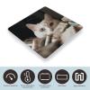 White Cat and Pile of Dollars Scale for Body Weight Digital Bathroom Scale Accurate Smart Weight Scales with Large Display Weighing Machine High Precision Scales view 3