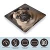 Animal Pug Dog Scale for Body Weight Digital Bathroom Scale Accurate Smart Weight Scales with Large Display Weighing Machine High Precision Scales view 3