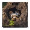 A Little Yorkshire Terrier Nestled in A Tree Hole Bathroom Scale for Body Weight LCD Display Digital Bathroom Scale Tempered Glass Bathroom Weight Scales Fashion Smart Scales for Home Bedroom 400 Lb view 1