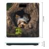 A Little Yorkshire Terrier Nestled in A Tree Hole Bathroom Scale for Body Weight LCD Display Digital Bathroom Scale Tempered Glass Bathroom Weight Scales Fashion Smart Scales for Home Bedroom 400 Lb view 2