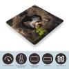 A Little Yorkshire Terrier Nestled in A Tree Hole Bathroom Scale for Body Weight LCD Display Digital Bathroom Scale Tempered Glass Bathroom Weight Scales Fashion Smart Scales for Home Bedroom 400 Lb view 3