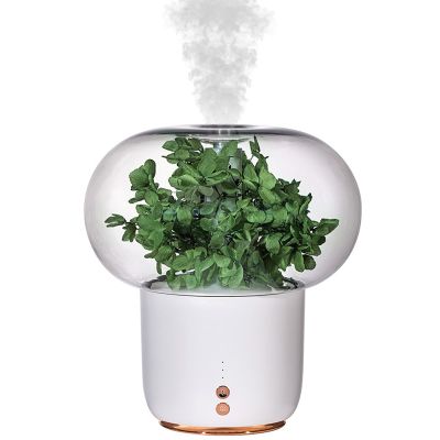 AGFKXO Eternal Flower Humidifier and Essential Oil Diffuser - Aromatherapy Humidifier with Colorful Night Light - Aromatherapy Diffusers Low Noise, Waterless Auto Shut-Off,Green